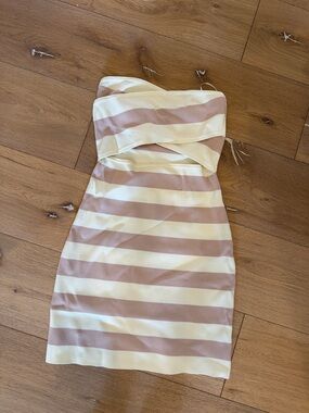 Vici Strapless Bodycon Dress in Cream and Blush